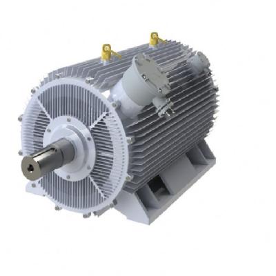 China Waterproof Three Phase Synchronous Variable Frequency Extruder Motor For Machine Factory for sale