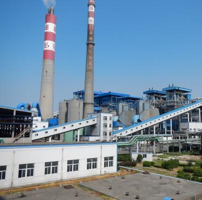 China food & Beverage Plant 200kw 1mw to 60mw Wood Chips Biomass Power Plant Generator for sale