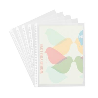 China Clear Poly PP Eco-friendly Plastic 30 Holes Inner Pockets A4 Cover Protector File Folders Custom Design for sale