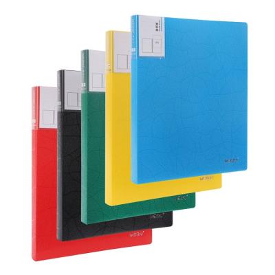 China Durable AFFISURE A4 PP Display Book Document Holder Clear Folder Clear Presentation Folder With Clear Pockets for sale