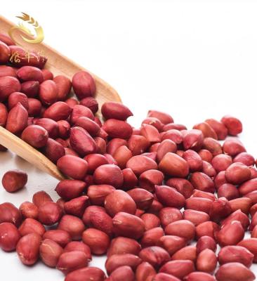 China Dried Rich In Protein Organic Peanuts Kernel Raw Peanut Rich for sale