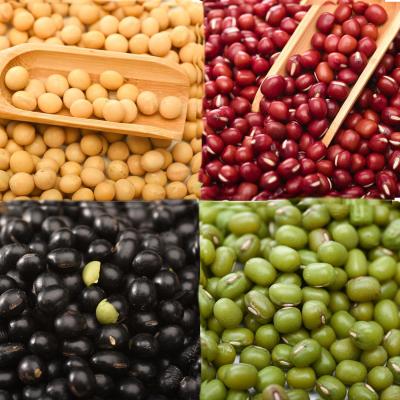 China Wholesale High Quality Packing Mung Bean Red Black Soy Dried Organic Green Beans for sale