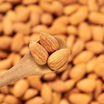 China Dried High Quality Raw Nuts Low Grade Top Grade Almond Nuts Kernels for sale