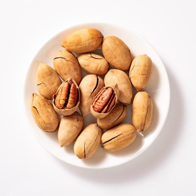 China Hot Selling Dried Pecans 5 Gram 2000 Gram Automatic Weighing And Packing In Shell Brown Pecan for sale