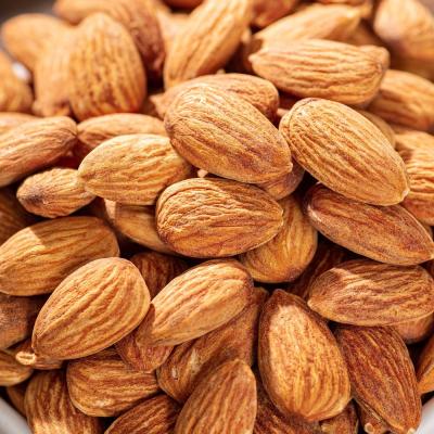 China Raw Organic Sweet Almond Kernel Nuts Dried Wholesale Protein Dried Fruit Rich for sale