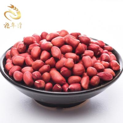 China Natural Unpolluted Organic Restaurant Dry Skin Red Peanut Kernels for sale