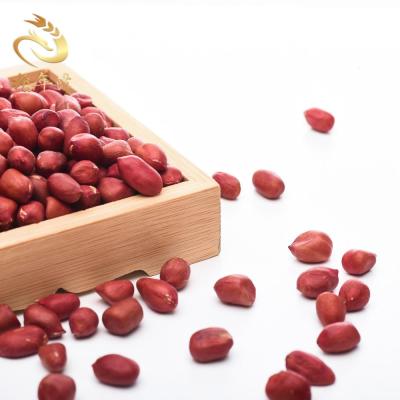 China China Origin Nutritious Red Peanut Red Skin Peanut Dry Top Grade Peanuts for sale