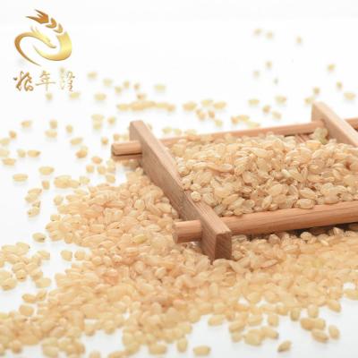 China Bulk Cheap Wholesale Brown Rice Syrup Dry Green Unpolluted Organic Brown Organic Rice for sale