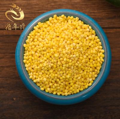 China Best Yellow Rice Natural Unpolluted Organic Big Canteen Dry Brown Bagged Cheap Bagged Yellow Rice for sale