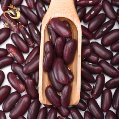 China Large Size Price Organic Red Kidney Bean Light Spot Dried Red Kidney Bean for sale