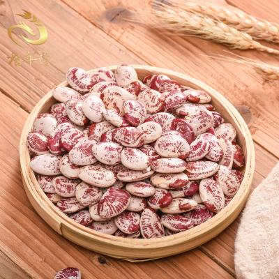 China Dry Organic Mottled Light Spotted Lotus Bean Natural Light Kidney Spotted Runner Bean for sale