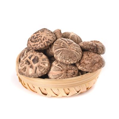 China Healthy wholesale top tier price of dried shiitake flower mushroom by lentinus edodes for sale