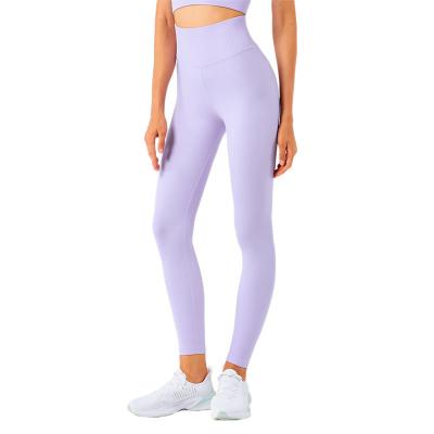 China Comfortable Elastic Gym Fitness&yoga Pants Breathable Seamless Tight Waist High Top Pants for sale