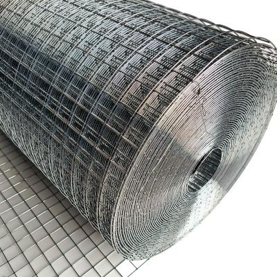 China Lowest Price Hot Dipped Galvanized Welded Chicken Wire Mesh Roll Fence 2.5m for sale