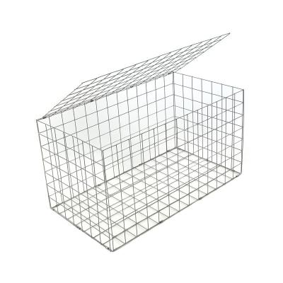 China Cheap Price 2x2 Galvanized Welded Welded Wire Mesh Fence For Kennel Cage for sale