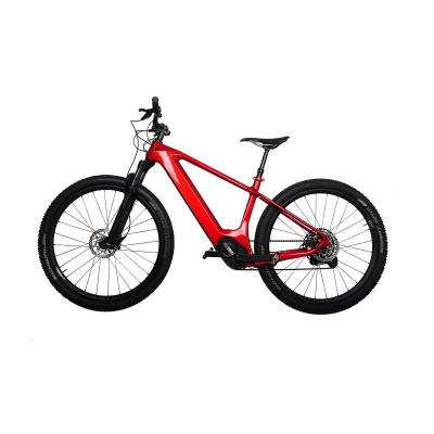 China Carbon fiber E14 DENGFU carbon mountain bike carbon fiber city e city hard trial bike for sale