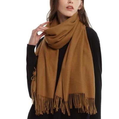 China Latest Style 180g Polyester Good Quality Ladies Brown Warm Shawl 2022 New Polyester Fashion Scarf for sale