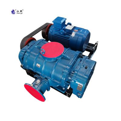 China Long Life Roots Blower Compressor Sewage Aeration Treatment Porcelain Root Blower can thoi khi for sale