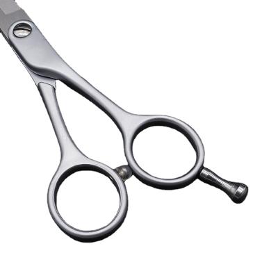 China Professional New Style Salon Thinning Scissors Silver Scissors Shaping Curved Scissors For Hair for sale