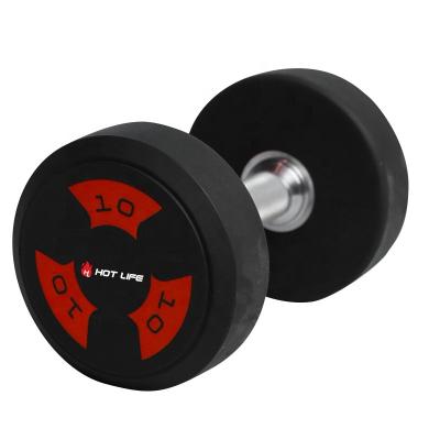 China Wholesale Popular Universal Hot Life New Gym Fitness Cross Fitted Equipment Accessories Urethane (TPU) Round Head Dumbbell for sale