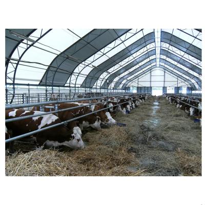 China steel structure cow shed modern agriculture steel frame cow construction shed for sale