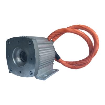 China High Quality New Energy Electric Vehicle Logistics Truck 0.8kw 220/380VDC Electric Power Steering Pump For Logan Light Truck for sale