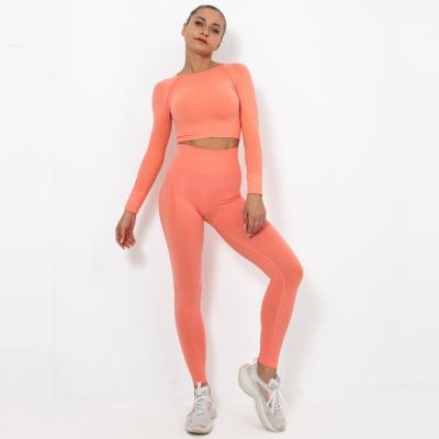 China Breathable Seamless 2 Piece Activewear Set Long High Waisted Tight Workout Sets Yoga Suit Sport Wear With Long Sleeves for sale