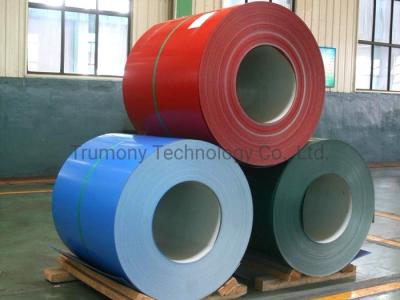 Cina Colorful Coating or Mill Finish Roll Foil Aluminum Coil in vendita