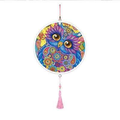 China Gift Idea & Home Decor & DIY painting kits 5D Diamond Painting Special Shaped Animal Owl Decorations Home Gift of Diamond Embroidery With Frame Art for sale