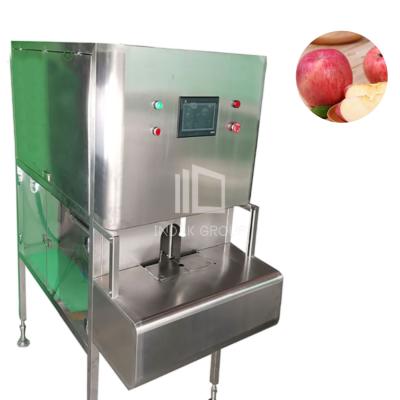 China Easy Operation Fruit And Vegetable Processor Cutting Machine For Apple, Pear And Potato for sale