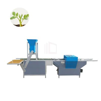 China Seeder Vegetable and Flower Seeds Seedling Planting Machine for sale