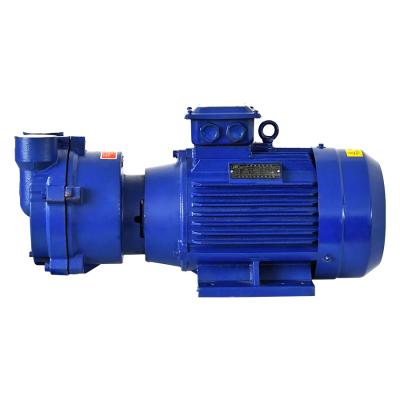 China 2BV Buildings Series Commercial High Vacuum Water Circulating Vacuum Pump Compressor Water Ring Industrial Vacuum Pump 2BV2071 for sale