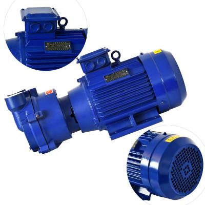 China 2BV Commercial Buildings Vacuum Pump Price Low Noise Compressor Water Ring Vacuum Pump for sale