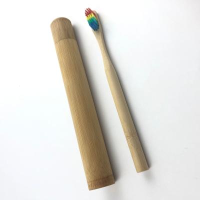 China Degradable Natural Biodegradable Bamboo Toothbrush With Bamboo Case for sale