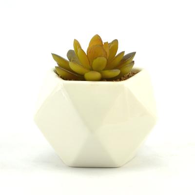 China Hot New Modern Mini Wholesale Geometric Planter White Ceramic Succulent Pots With Bamboo Tray for sale