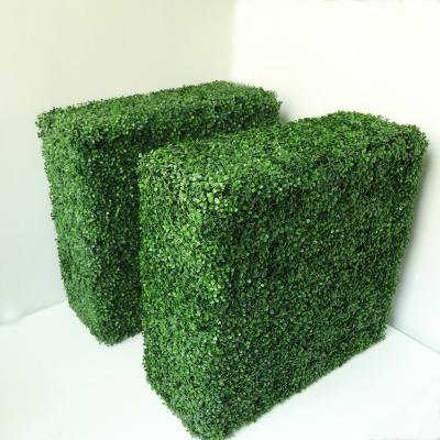 China No Fence Boxwood Indoor Artificial Green Hedge Milan Grass Type Plastic Plant Daily Care Customized Size In Modern Planter for sale