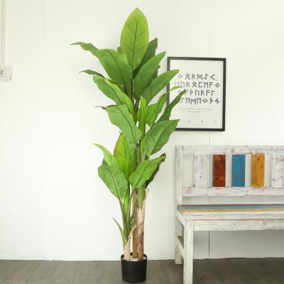 China Non-pollution Waterproof Indoor Home Decor Large Plastic Artificial Cedar Bonsai Trees Banyan Maple Amazon Plants for sale