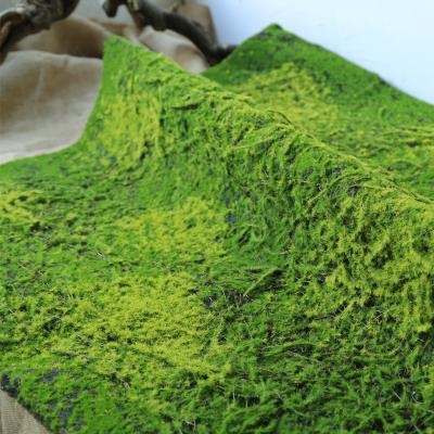 China Modern Chinese Manufacturer Real Artificial Silk Grass Wall Looking Artificial Grass/Moss Wall Cheap Price For Decoration for sale