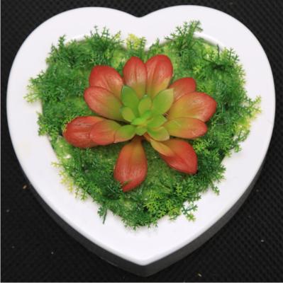 China Waterproof+Eco-friendly Home Decor 3D Effect Wall Indoor Decoration Living Room Plants Wall Hanging Artificial Succulent Planter With Photo Frames for sale