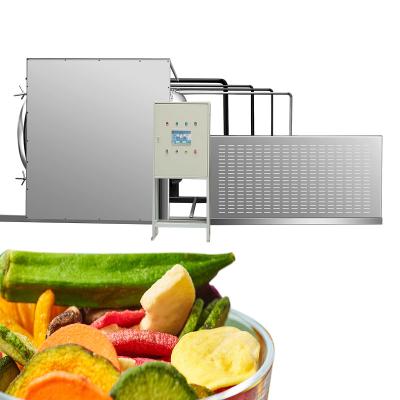 China Medicine Curing 15 Sqm Fruit Lemon Strawberry Melon Flower Industrial Freeze Dryer Machine Silicone Oil Vacuum Freeze Dryer for sale