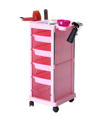 China Other Wholesale Products Durable Hair Salon Hand Truck Salon Hair Color Trolley for sale