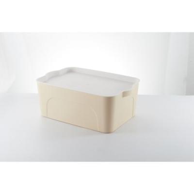 China Japanese Style Apricot Edge Toughness Viable Medium High Smooth Safety Use Plastic Storage Box With Lids for sale