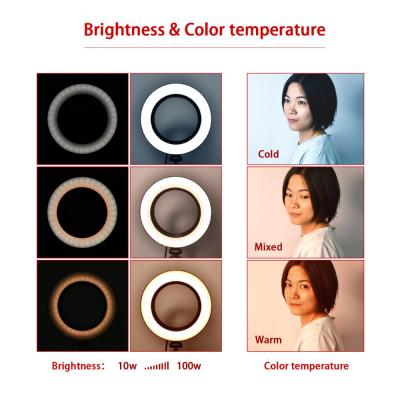 China Professional Portable Makeup LED Ring Light Selfie Studio LED Ring Light Lamp for Camera RL-10-tripod for sale