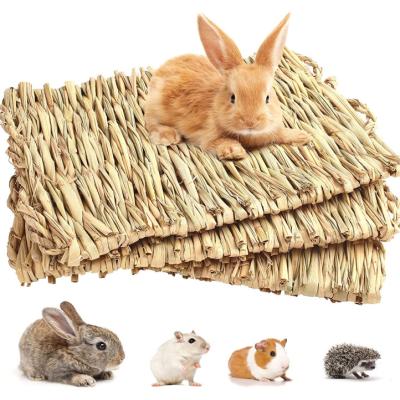 China Hand Wash Factory Hot Sale Pet Mat Rabbit Grass Stiff Spike Bed Fresh Hamster for sale