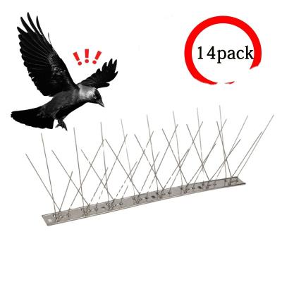 China Newest Design Disposable Bird Nails Bird Sting Prevention Stainless Steel Bird Spikes for sale