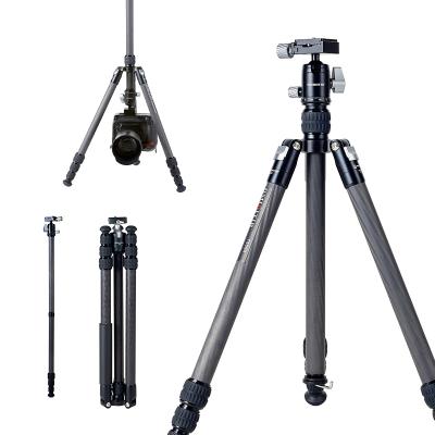 China T555R digital camera tripod dslr phone tripod stand 360 phone video camera tripod for phone camera sports for sale