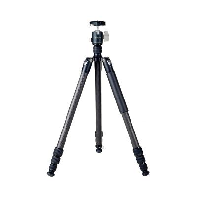 China PORTABLE Factory Supply DM294C+Q36 Carbon Fiber Foot Tube Aluminum Alloy Camera Pan Camera Tripod Stand For Adjustable Sports for sale