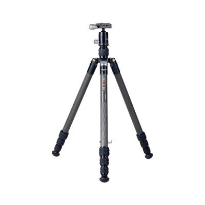 China New Arrival Carbon Fiber Product T555R Carbon Fiber Foot Tube Aluminum Alloy Camera Pan Cheap Flexible Over Head Camera Tripod for sale