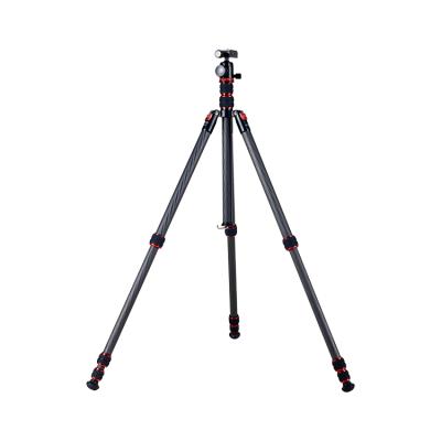 China New product T555 carbon fiber foot tube aluminum alloy camera pan 360 camera tripod stand for sale