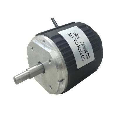 China ITO Motor Manufacturer BLDC Hall Sensor IE1 E-Bike Motor 12 24 48 60 Volt For Motorcycle Bicycle E-Bike for sale